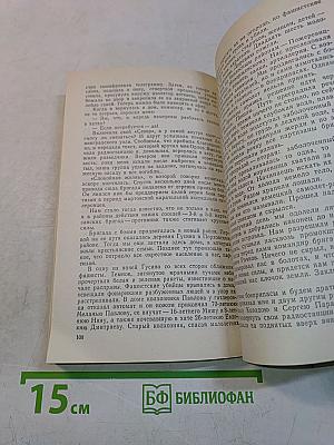Часовые партизанского эфира