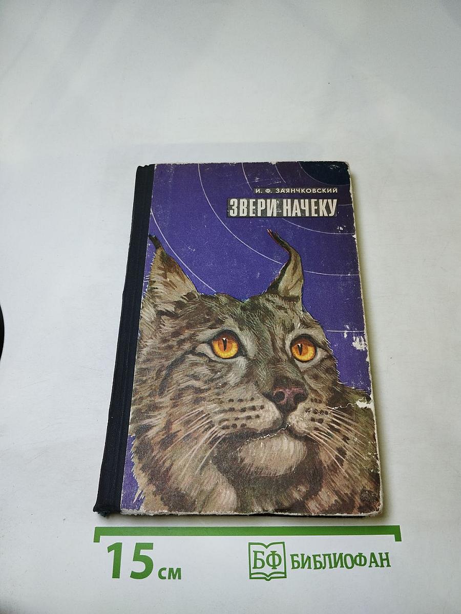 Звери начеку