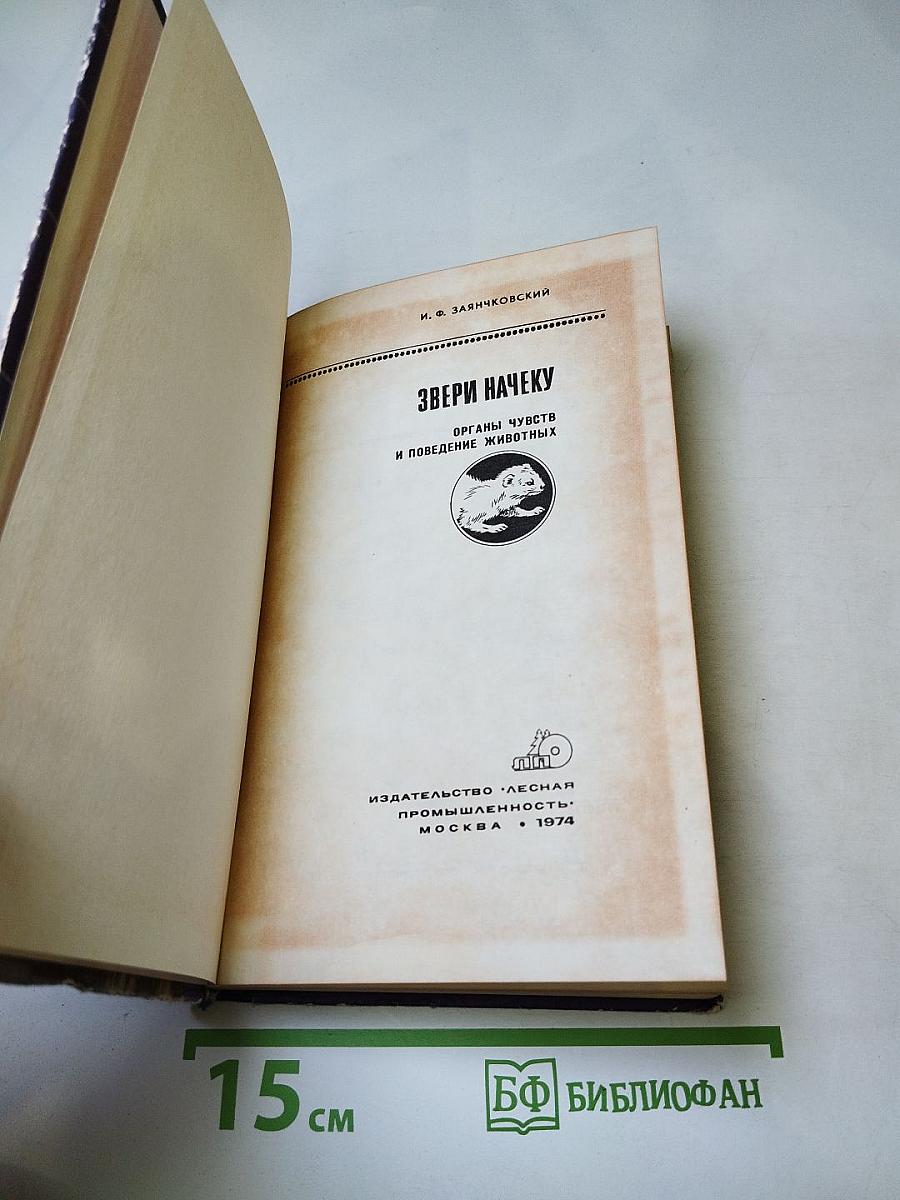 Звери начеку