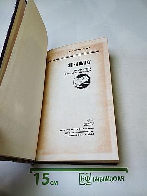 Звери начеку