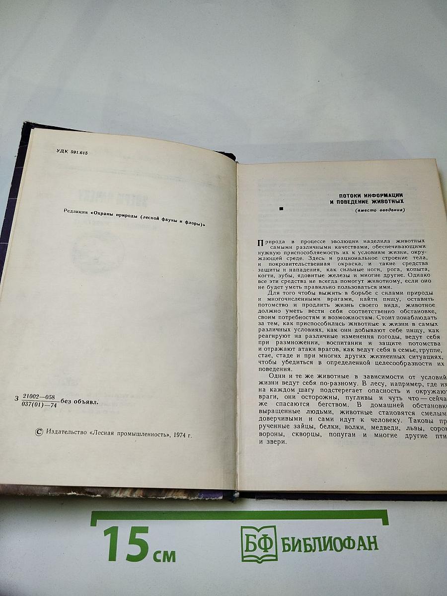 Звери начеку