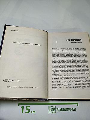 Звери начеку