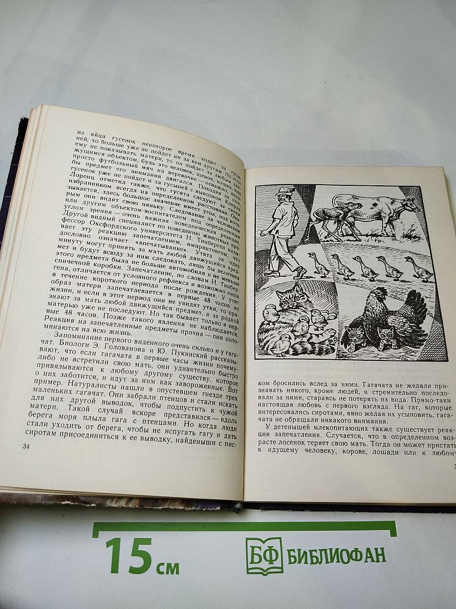 Звери начеку