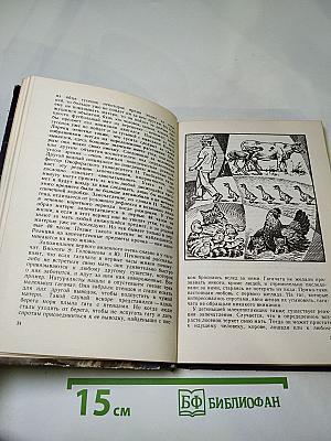 Звери начеку