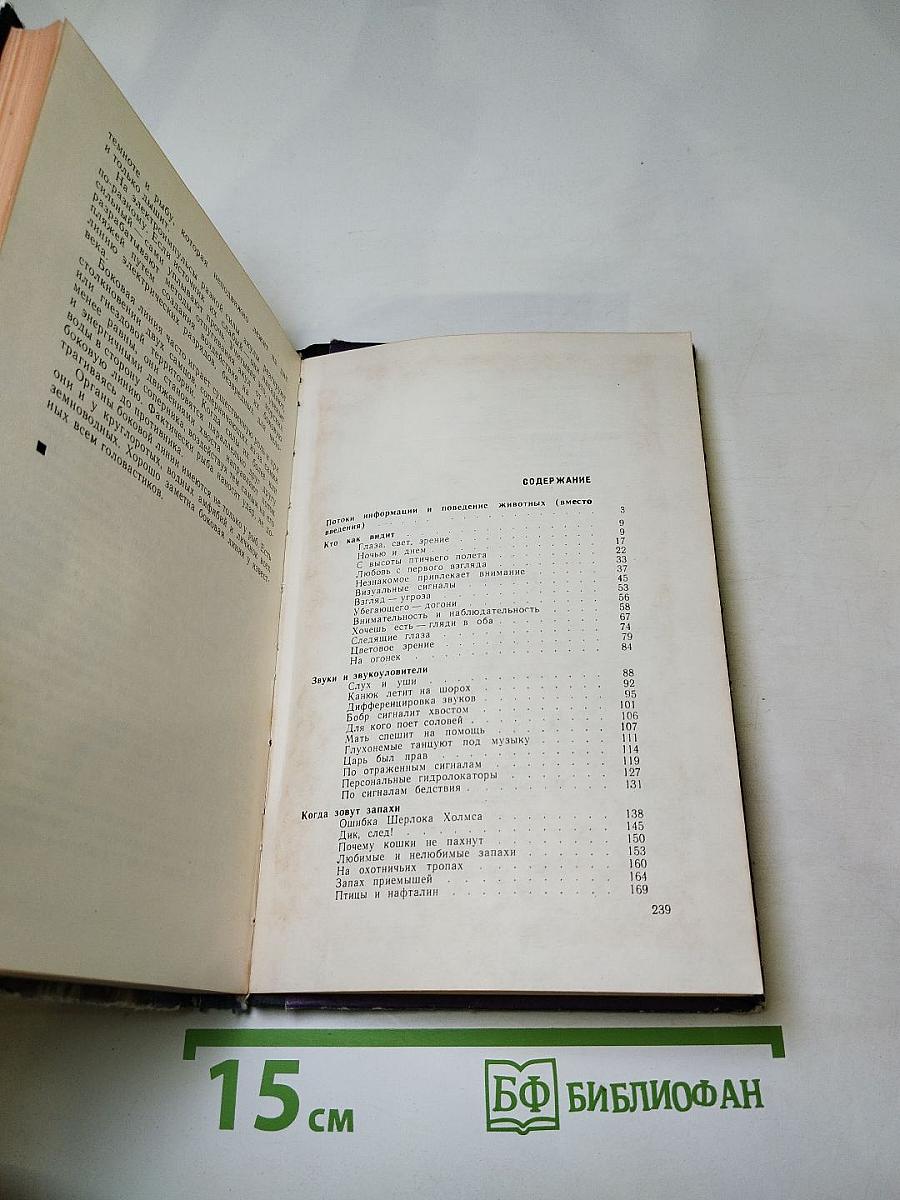 Звери начеку