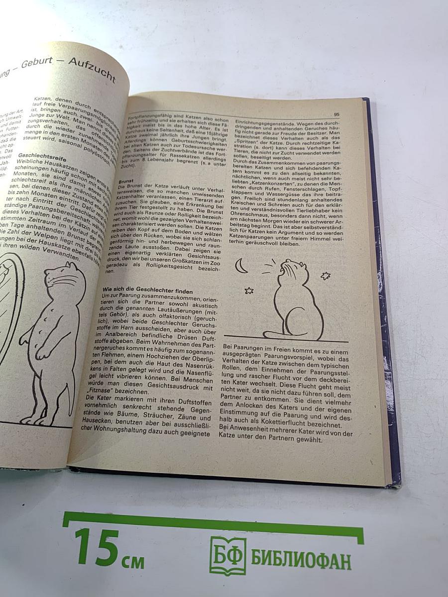 Ratschläge für den Katzenfreund