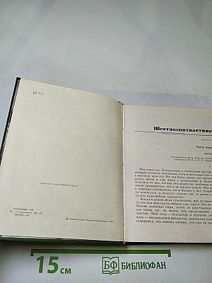 Самое необходимое