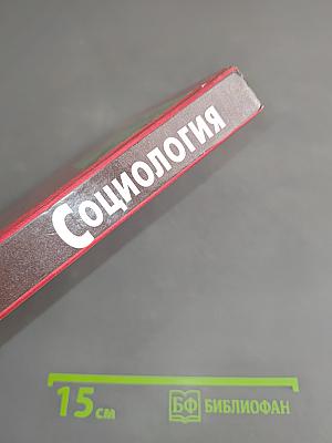 Социология