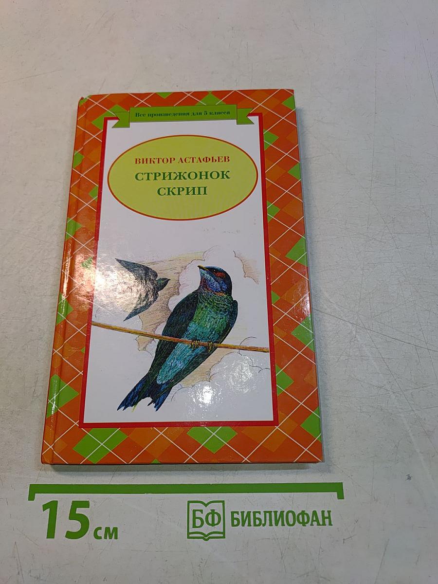 Стрижонок Скрип