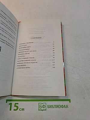 Стрижонок Скрип