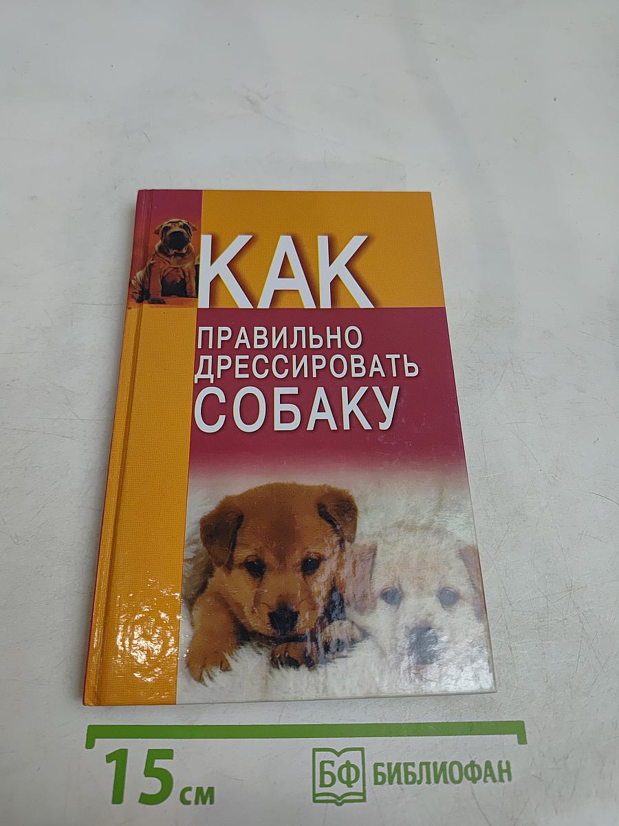 Как правильно дрессировать собаку