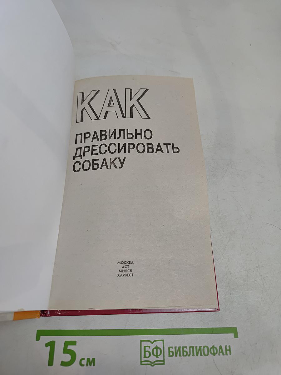 Как правильно дрессировать собаку