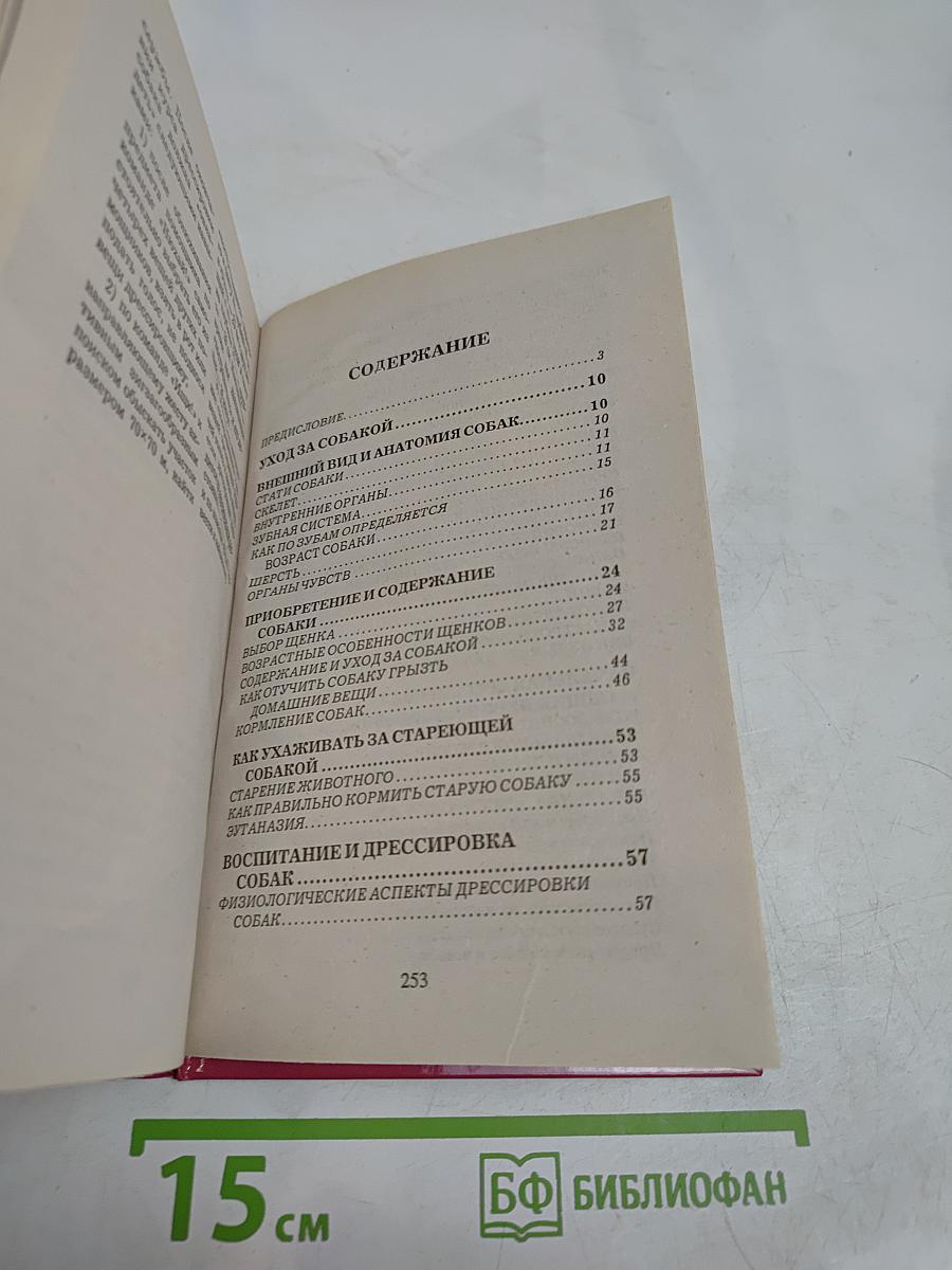 Как правильно дрессировать собаку