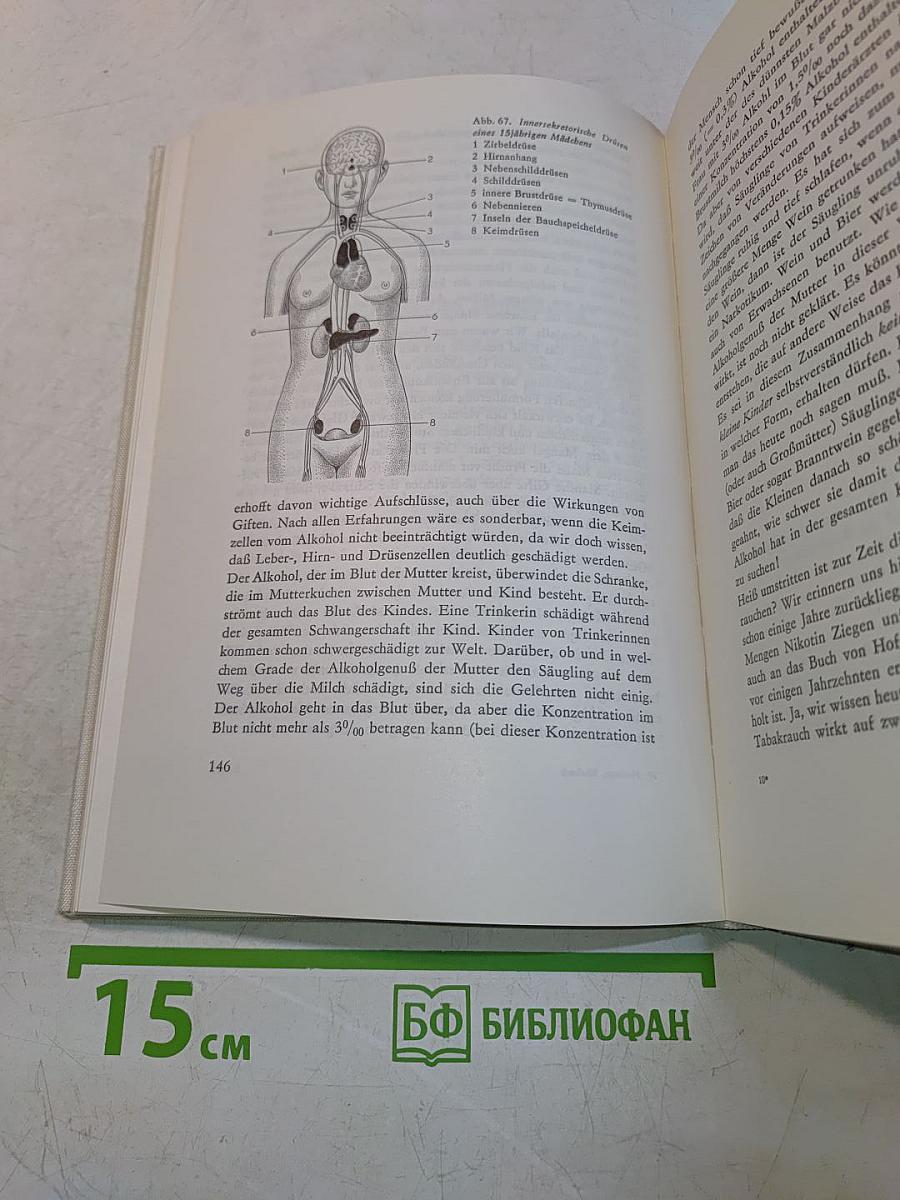 Das neue Ehebuch