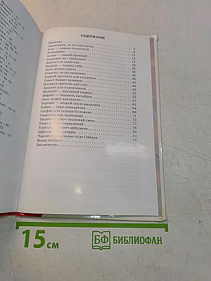 Минералы и драгоценные камни. Школьный путеводитель