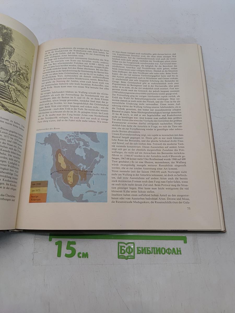 Die Tierwelt der Erde