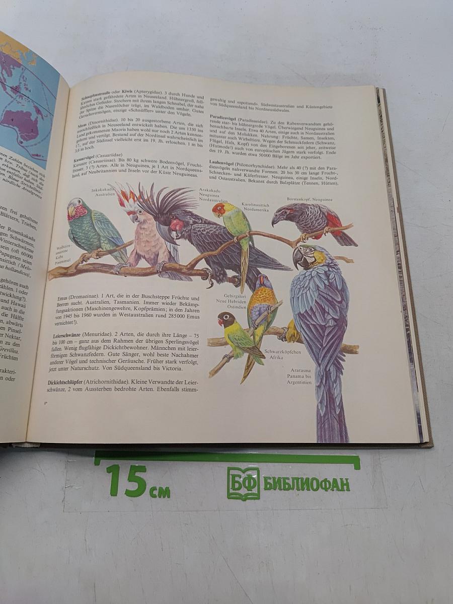 Die Tierwelt der Erde