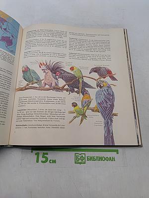 Die Tierwelt der Erde