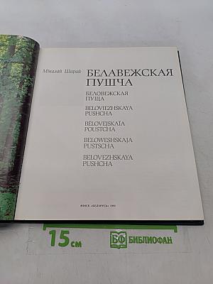 Беловежская пуща