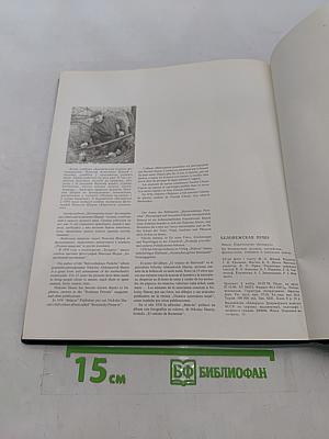 Беловежская пуща