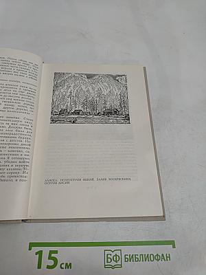 В диком краю. Дневник мирных приключений на Аляске
