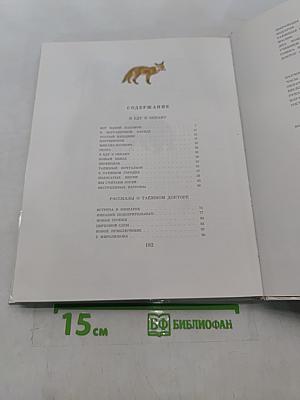 Жил человек у океана