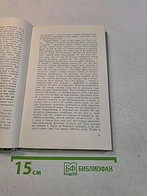Небесный камень. Третьи горы