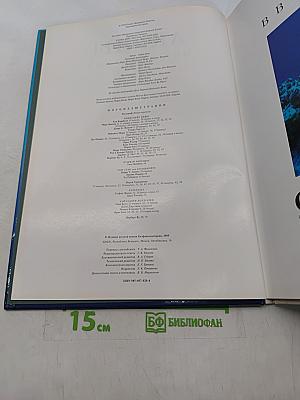 Акулы. Мир животных