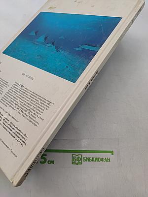 Акулы. Мир животных