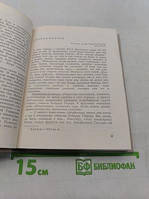 Хлеб прежде всего. Рассказы