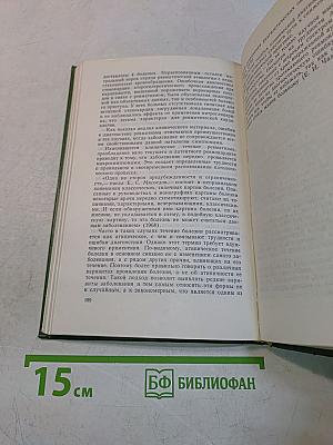 Ревматизм