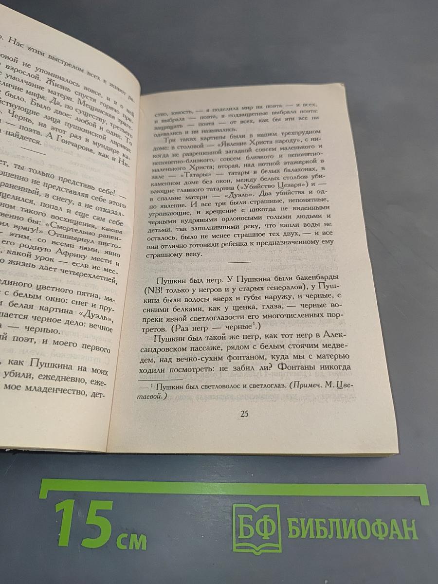 Мой Пушкин