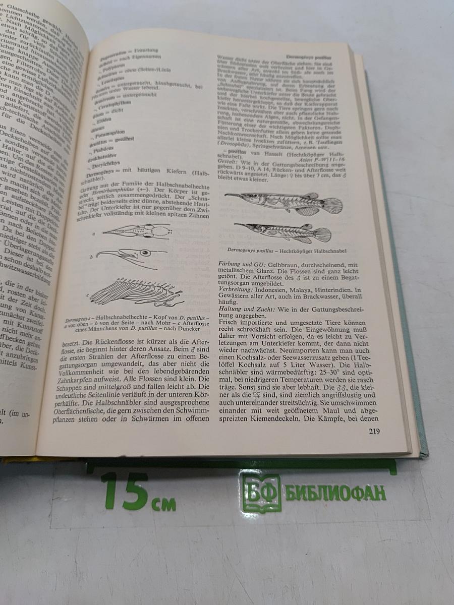 Das Aquarium von A bis Z