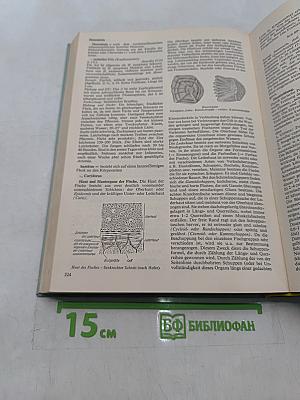 Das Aquarium von A bis Z