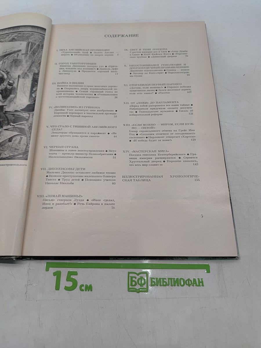 Революция машин. История промышленного переворота