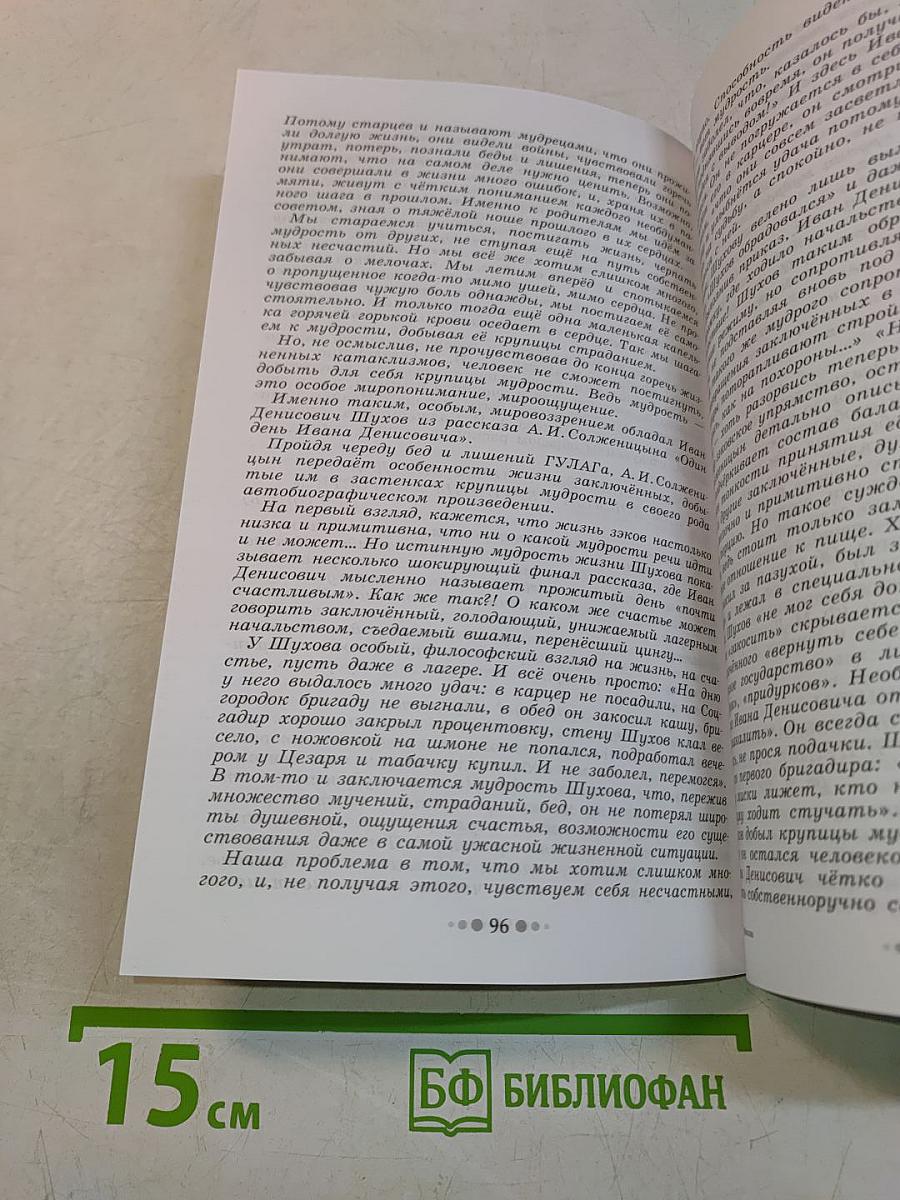 Виды сочинений по литературе. 10-11 классы