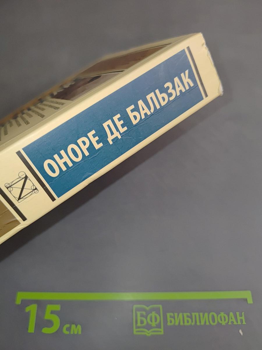Гобсек. Отец Горио