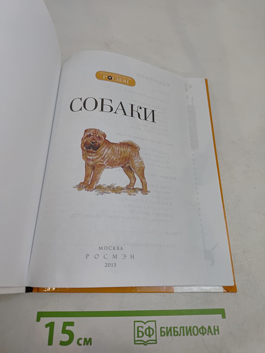 Собаки