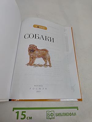 Собаки