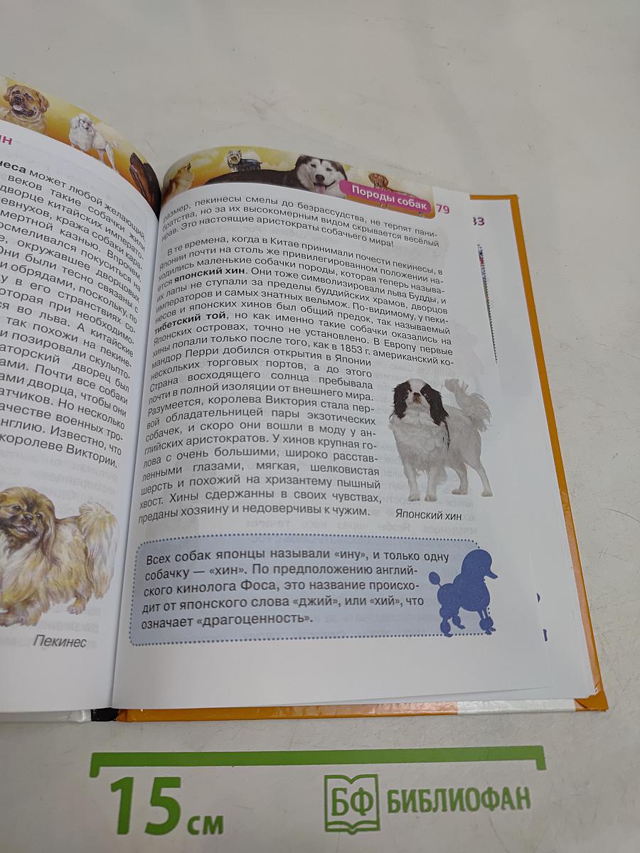 Собаки