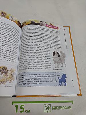 Собаки