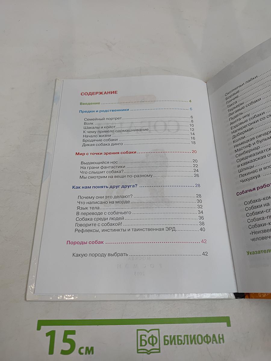 Собаки