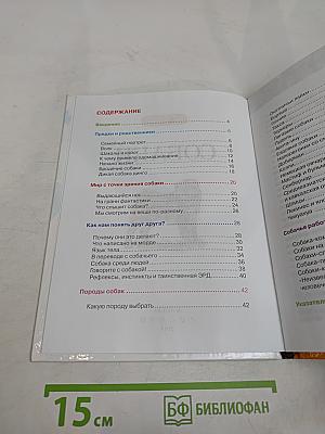 Собаки