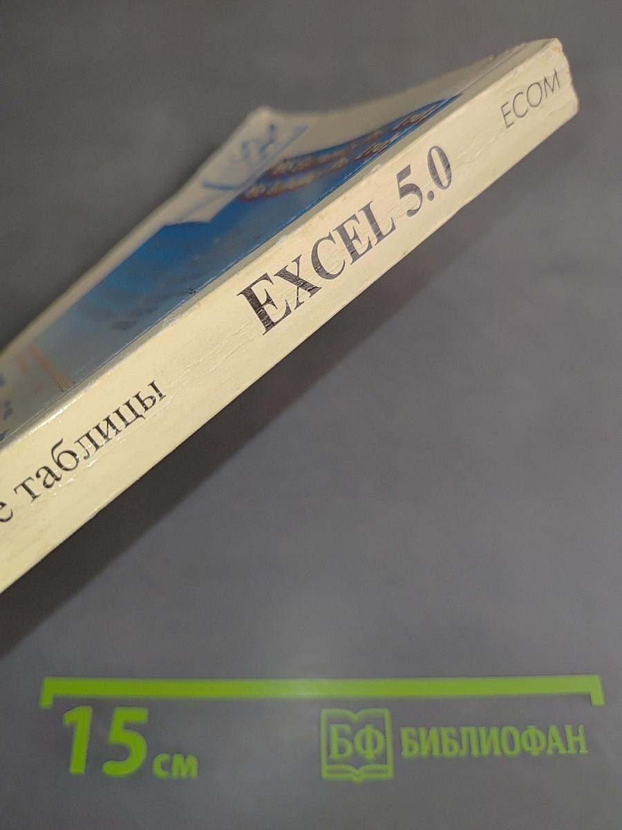 Excel 5.0. Электронные таблицы