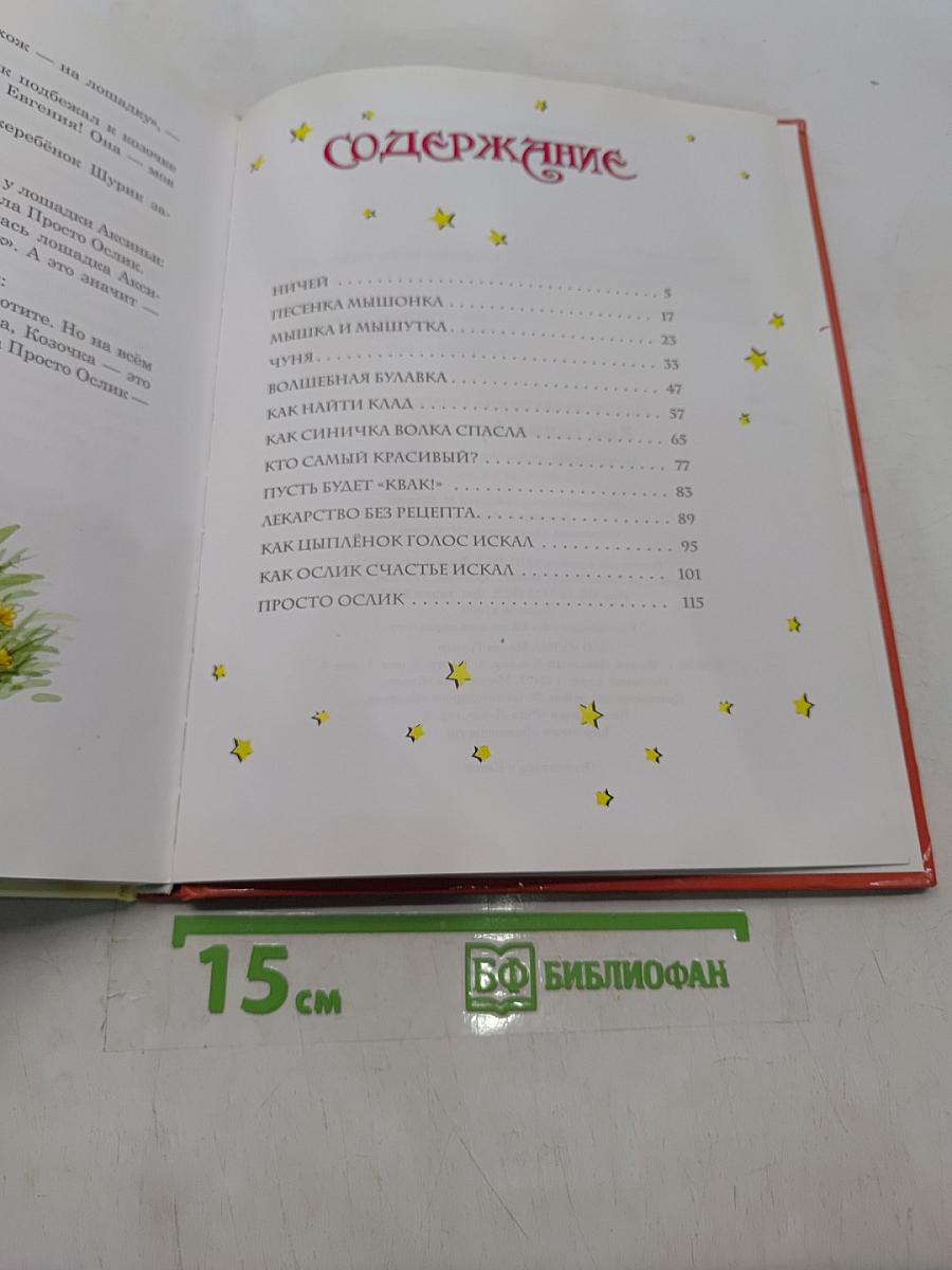 Кто самый красивый?