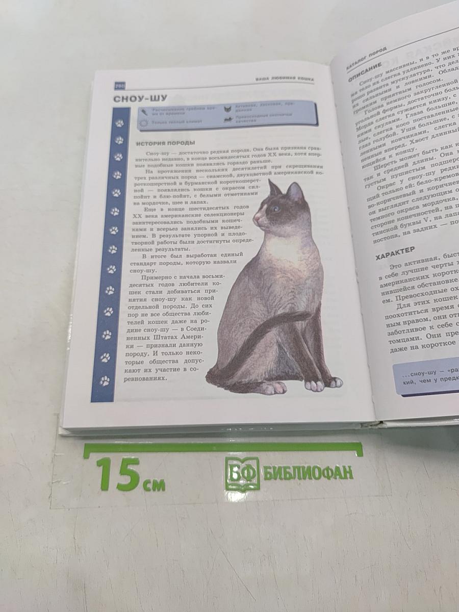 Ваша любимая кошка