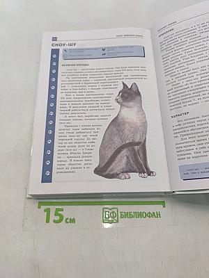 Ваша любимая кошка