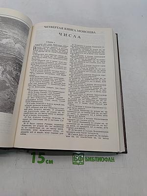 Библия. Книги Священного Писания Ветхого и Нового Завета. Канонические. С иллюстрациями Гюстава Дорэ. Том I