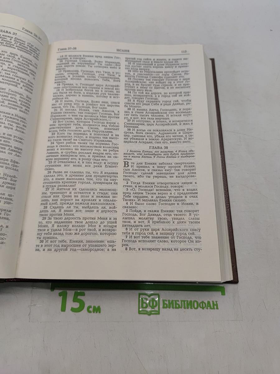 Библия. Книги Священного Писания Ветхого и Нового Завета. Канонические. Том II
