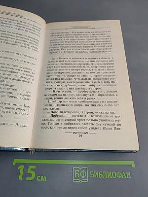 Барышня и хулиган